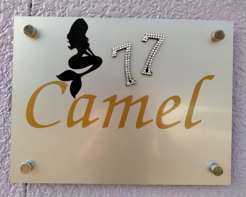 Camel 77
