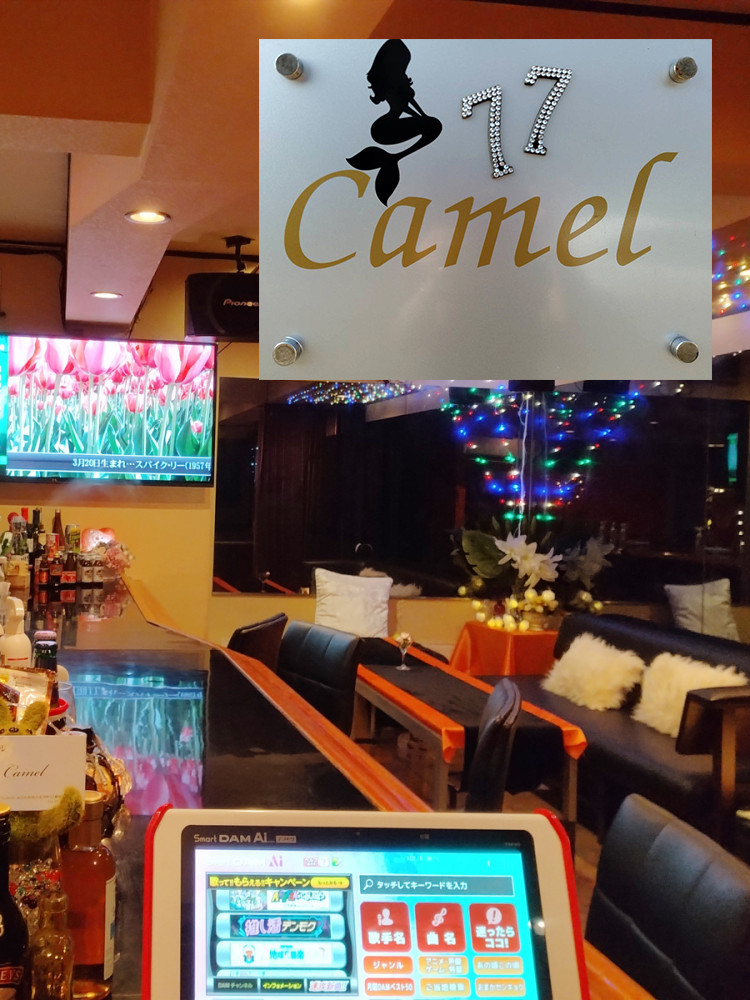 Camel 77店舗イメージ