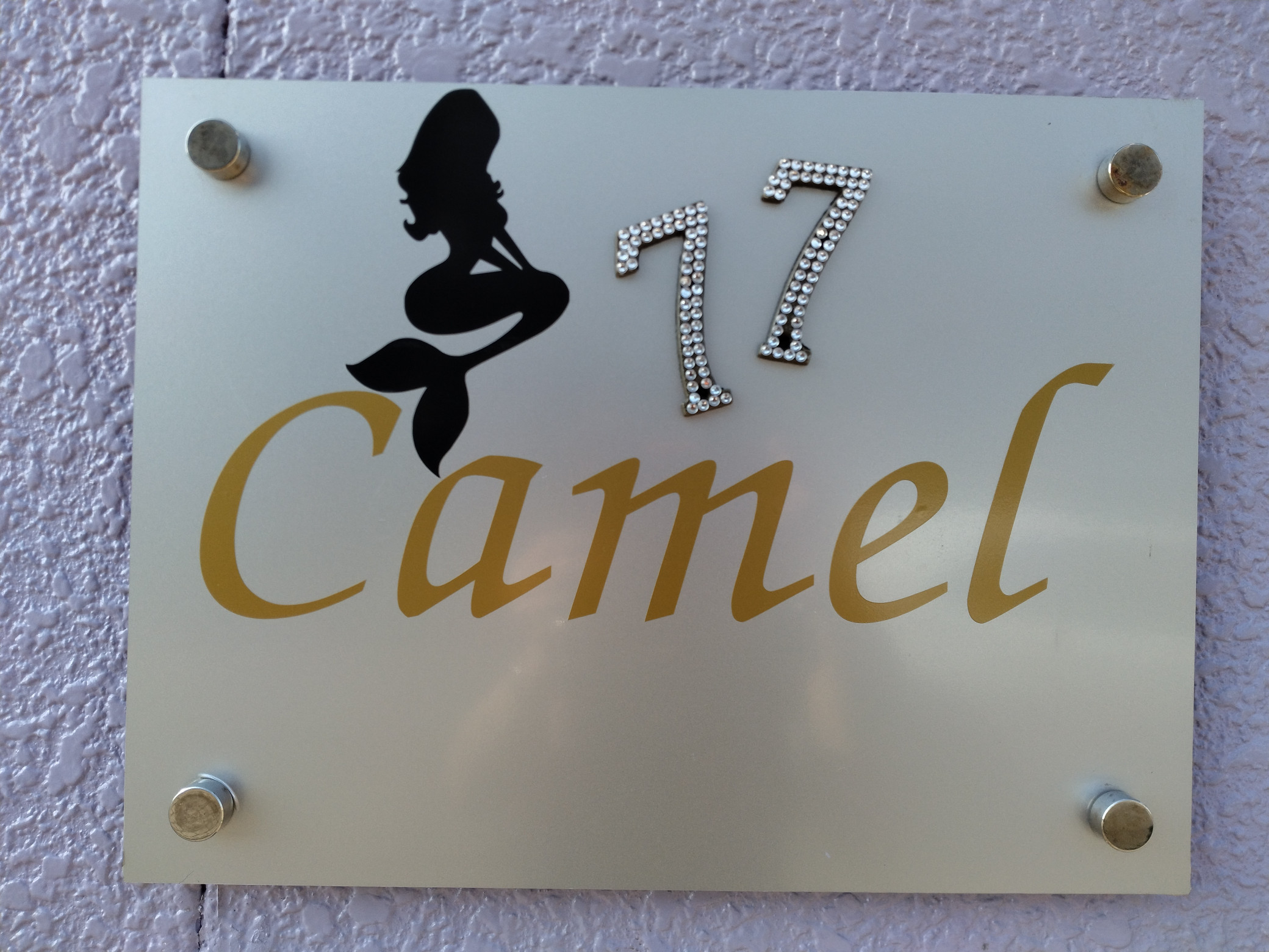 Camel 77